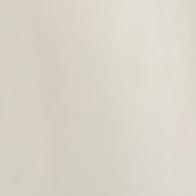 Short Sleeve Eagle Back Graphic T-Shirt