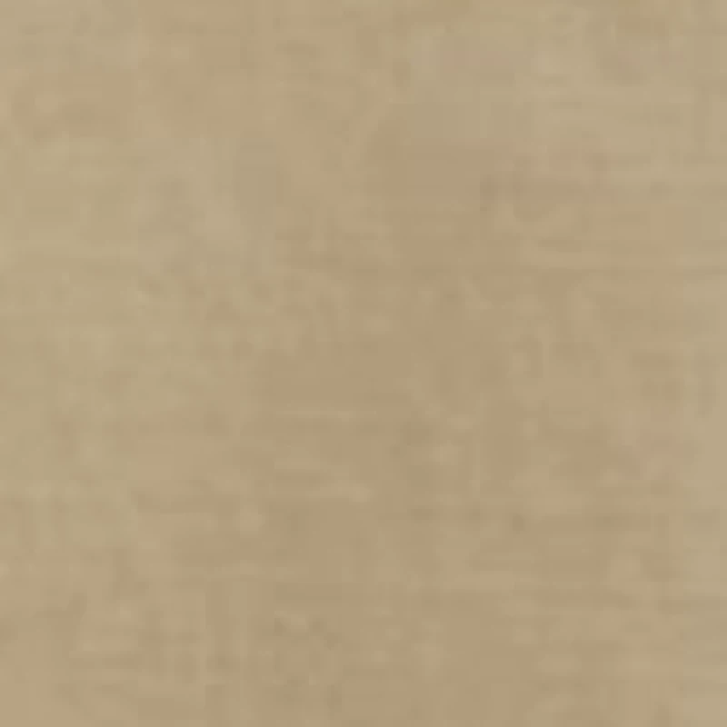 Carrier Cargo Shorts