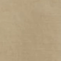 Carrier Cargo Shorts