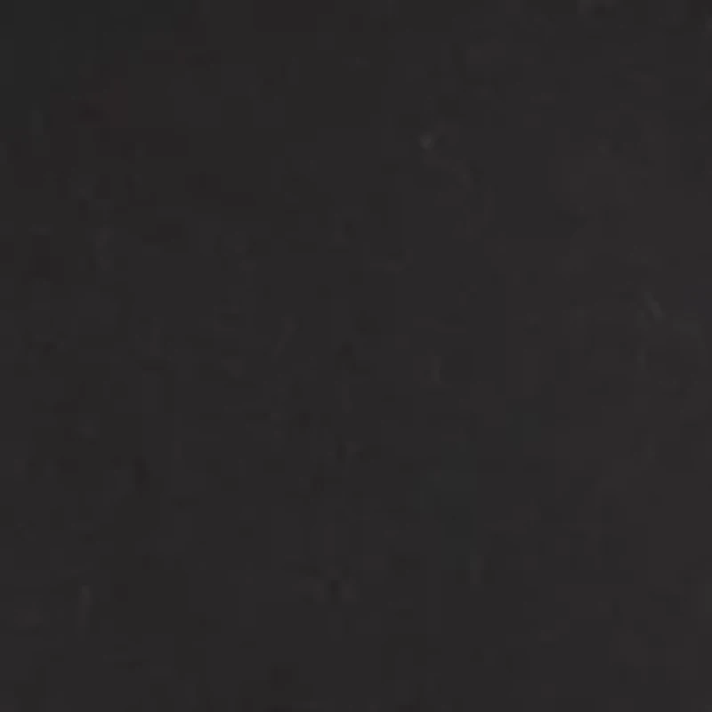 Relaxed Two Horse Graphic Hoodie