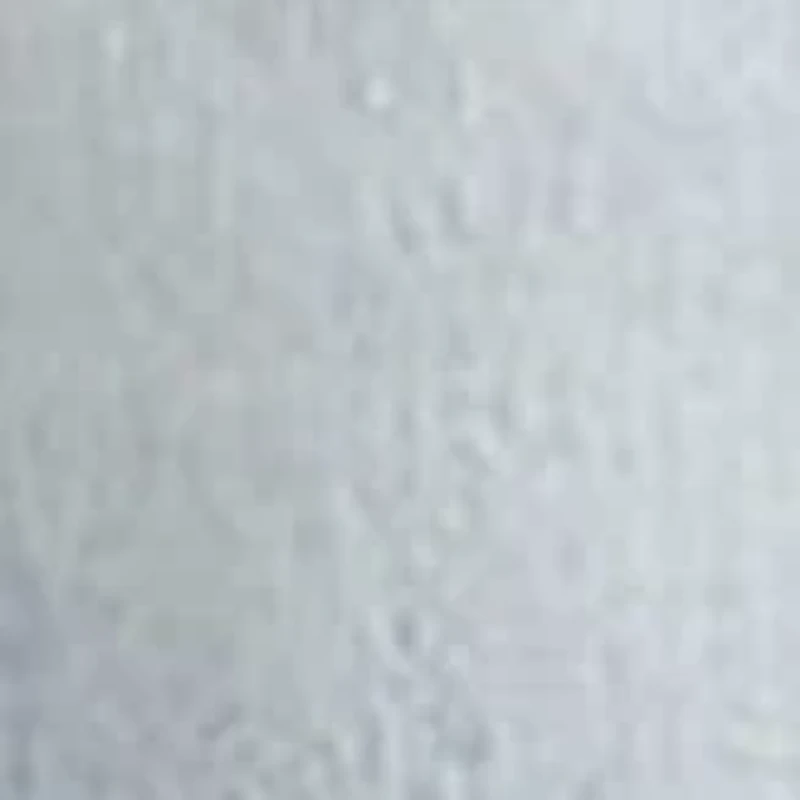 405 Standard Jean Shorts