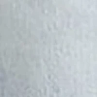 405 Standard Jean Shorts