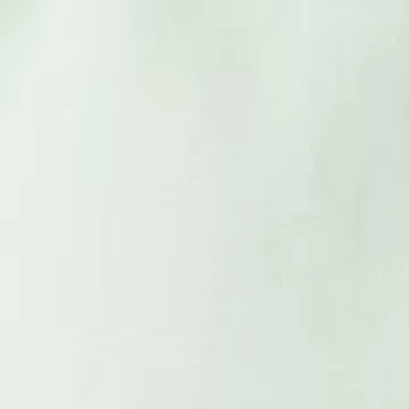 Big & Tall  Short Sleeve Graphic T-Shirt