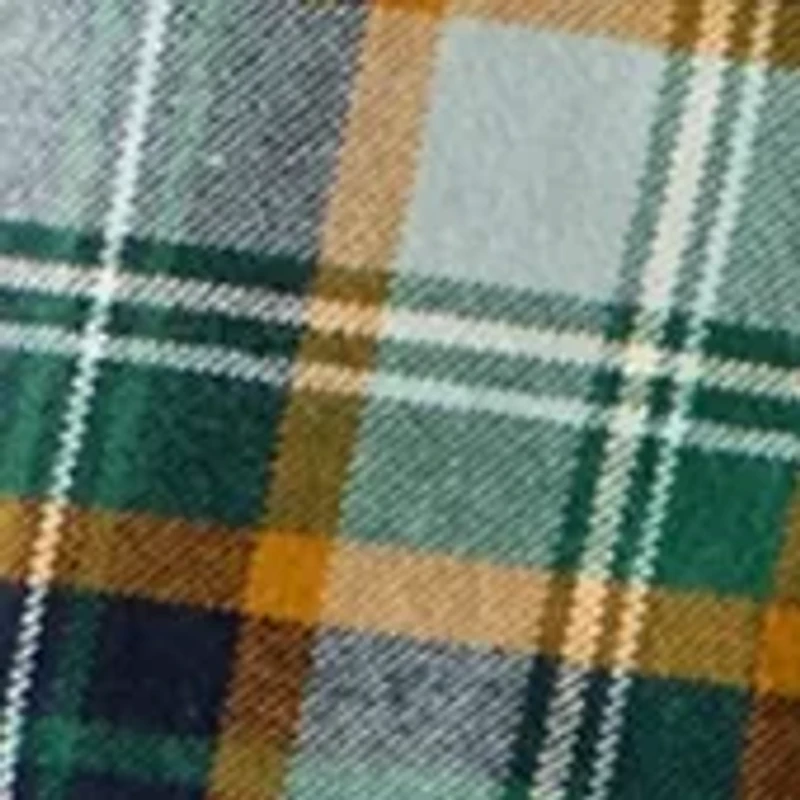 Big & Tall Western Shirt