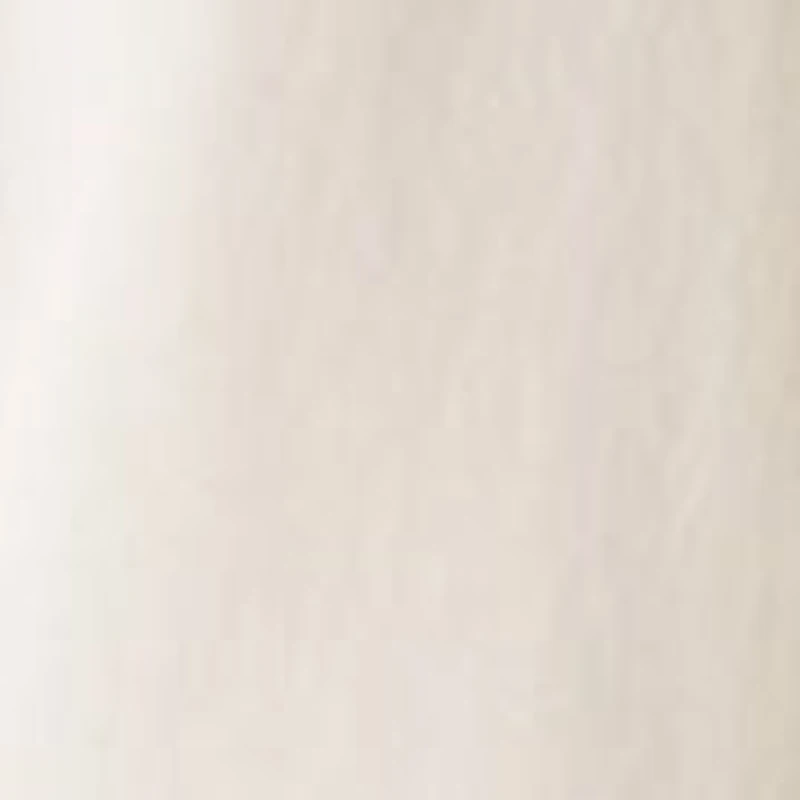 Classic Button Down Shirt