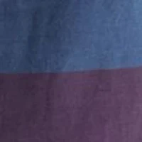 Wesley Stripe Sargas Shirt