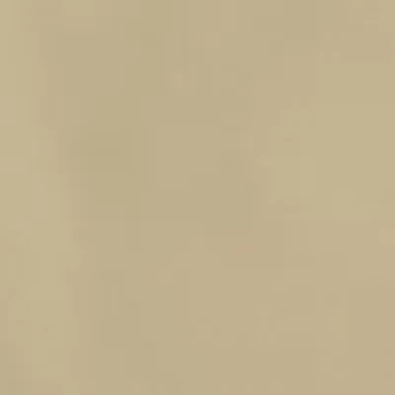 Men's Pleated 9" Shorts