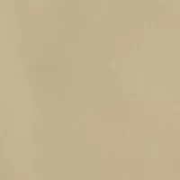 Men's Pleated 9" Shorts