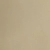 9" Flat Front Mechanical Stretch Shorts