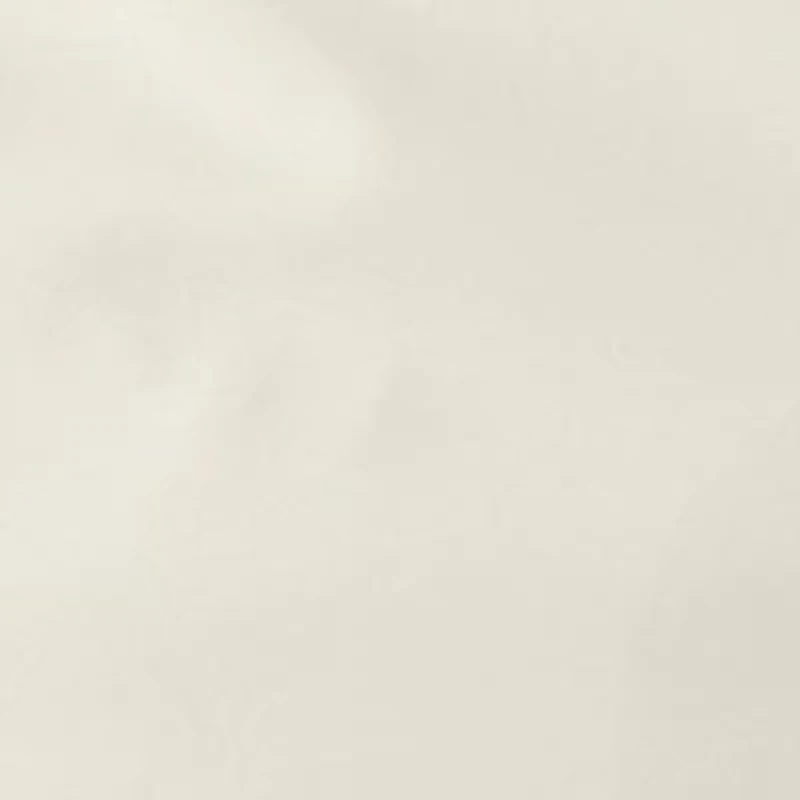 Men's Flat Front Mechanic Pants