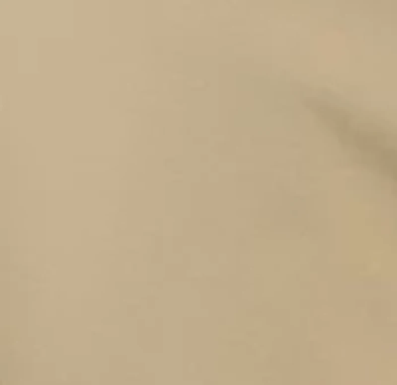 Men's Flat Front Mechanic Pants