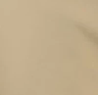 Men's Flat Front Mechanic Pants