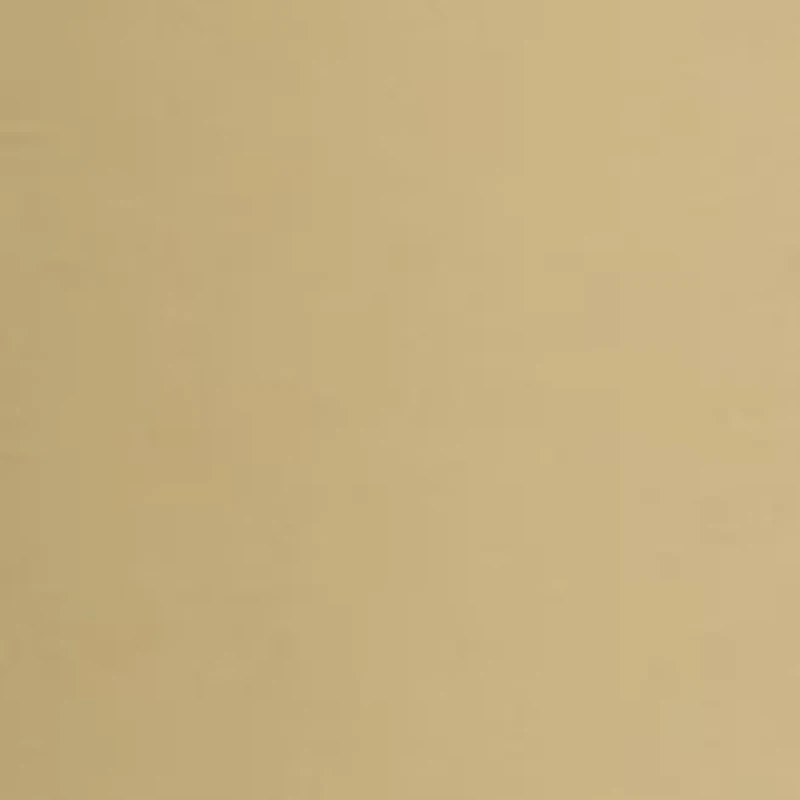 Men's 5 Pocket Pants