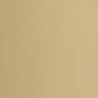 Men's 5 Pocket Pants