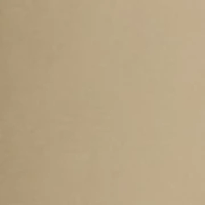 Big & Tall 9" Flat Front Active Stretch Shorts