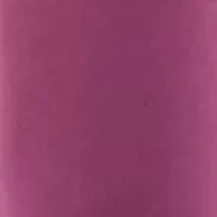 Men's Solid Polo Shirt