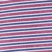 Big & Tall Multi Stripe Polo Shirt