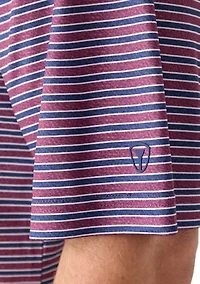 Big & Tall Multi Stripe Polo Shirt