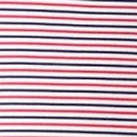 Men's Americana Stripe Polo Shirt