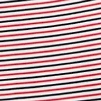 Big & Tall American Stripe Polo Shirt