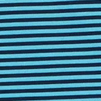 Big & Tall Short Sleeve Fashion Feeder Stripe Polo Shirt