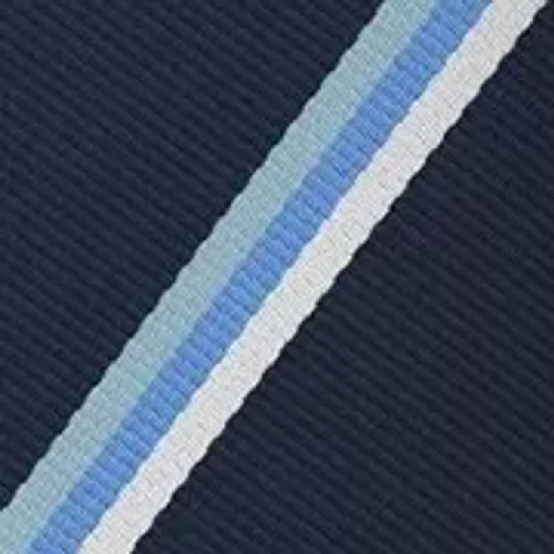 Men's Diagonal Stripes Silk Tie