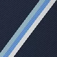 Men's Diagonal Stripes Silk Tie