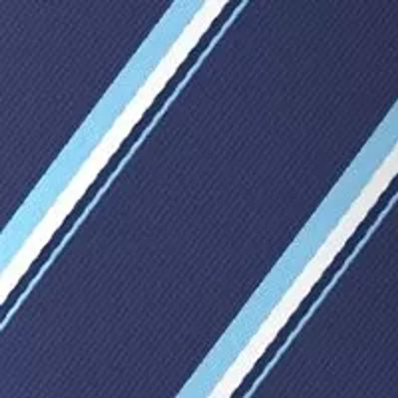 Striped Silk Tie