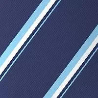 Striped Silk Tie