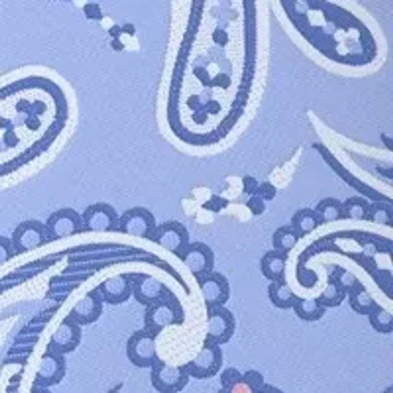 	  Paisley Print Tie 