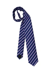 Silk Striped Tie