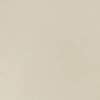 Men's Long Sleeve Graphic Shirt