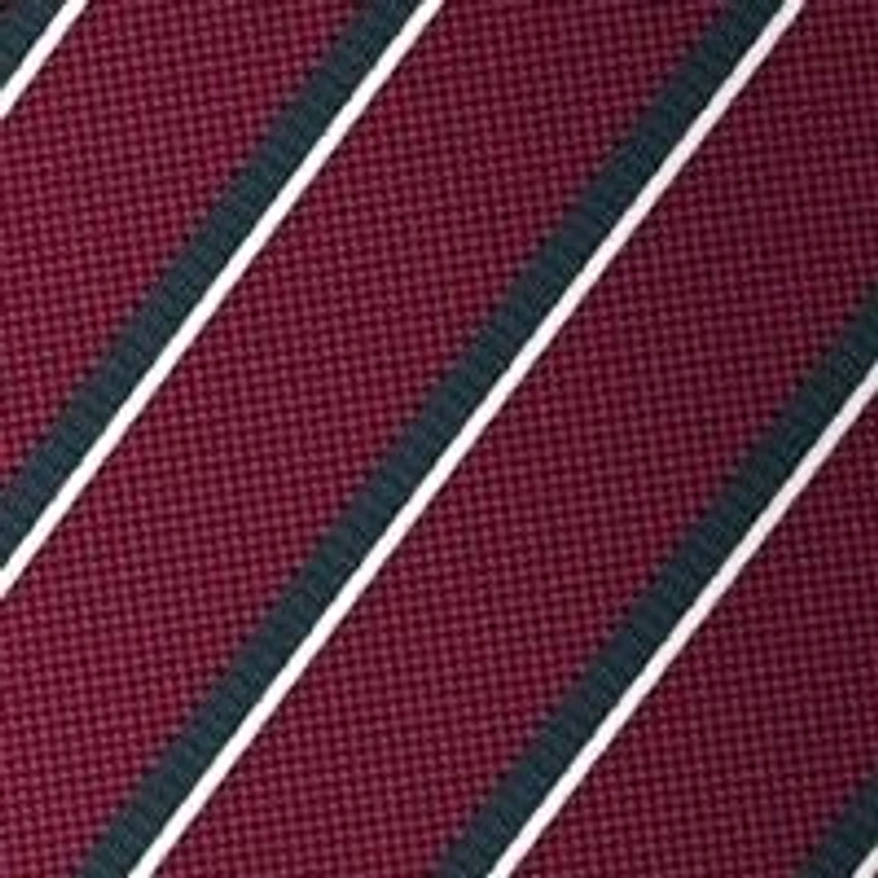 Stripe Silk Tie