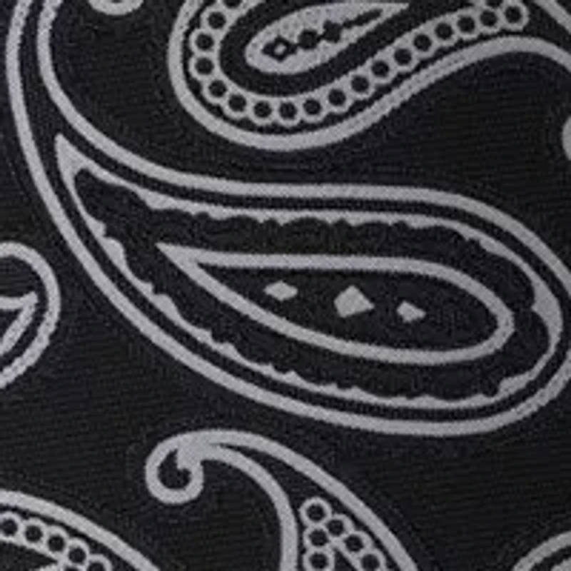 Paisley Silk Tie