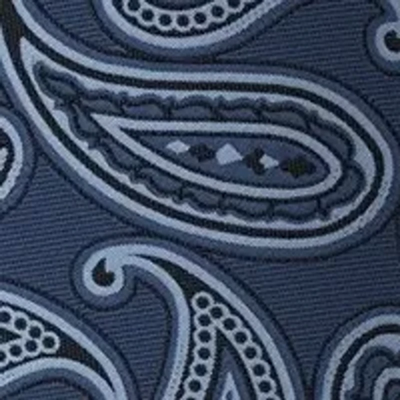 Paisley Silk Tie