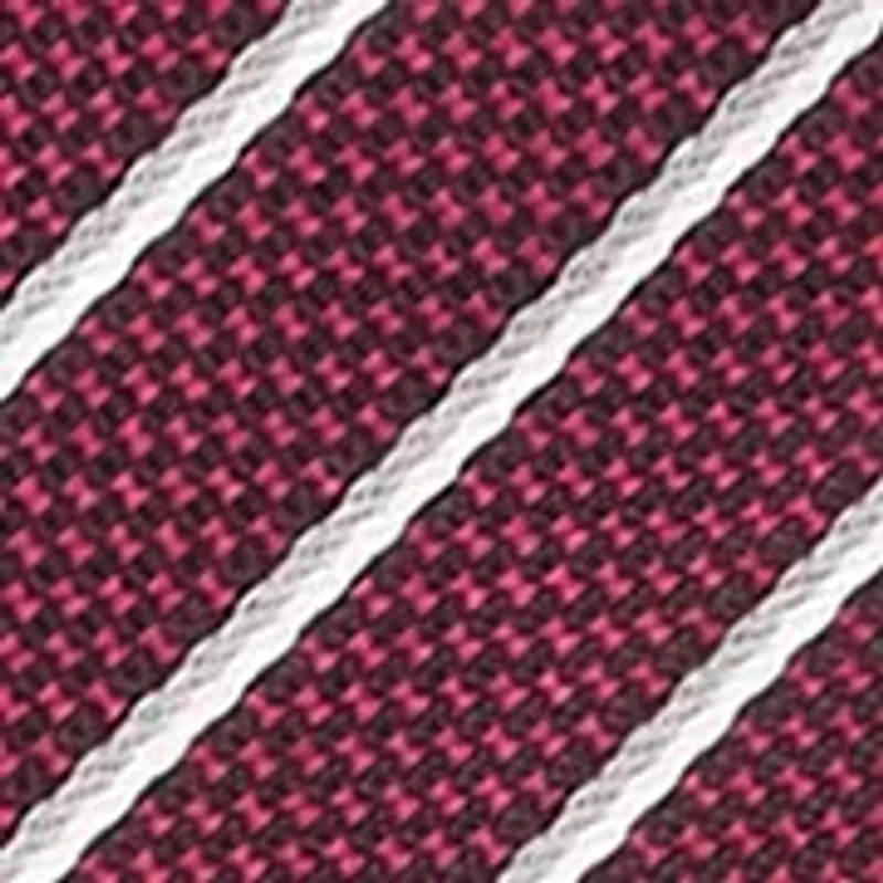 Stripe Silk Tie