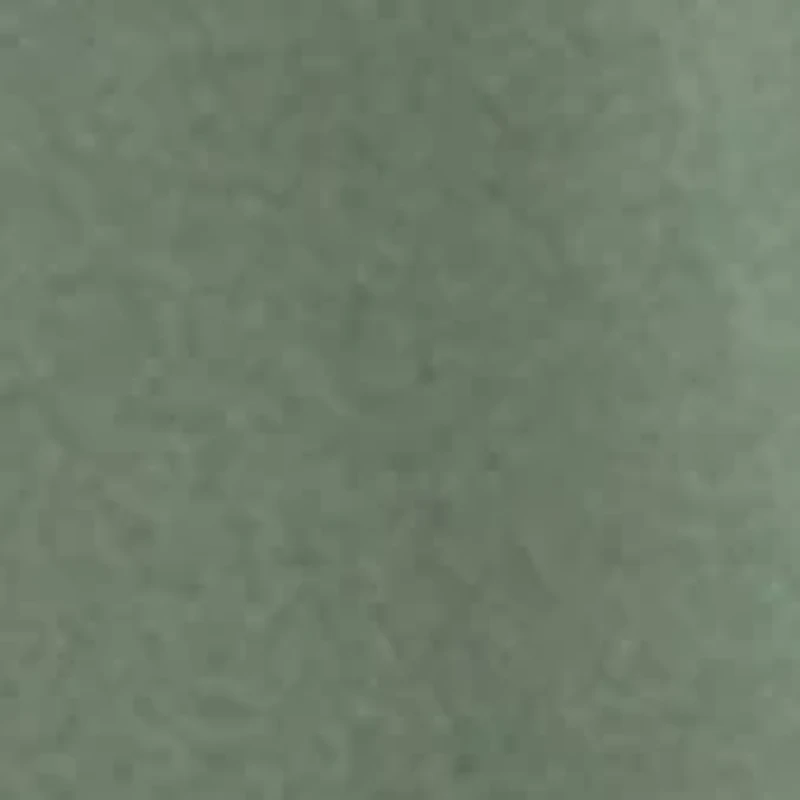 Plisy Long Sleeve Polo Shirt