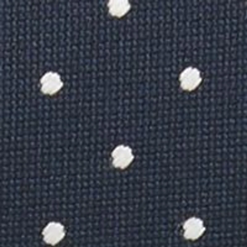 Polka Dot Printed Tie