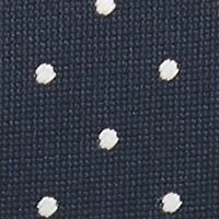 Polka Dot Printed Tie
