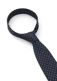 Polka Dot Printed Tie