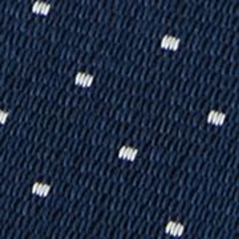 Men's Pindot Printed Tie