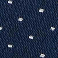 Men's Pindot Printed Tie