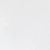 Men's Doberman Graphic T-Shirt