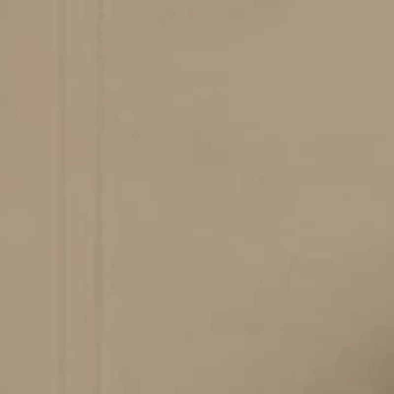 Men's Performance Shorts