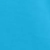 Short Sleeve Skull and Poles Shirt