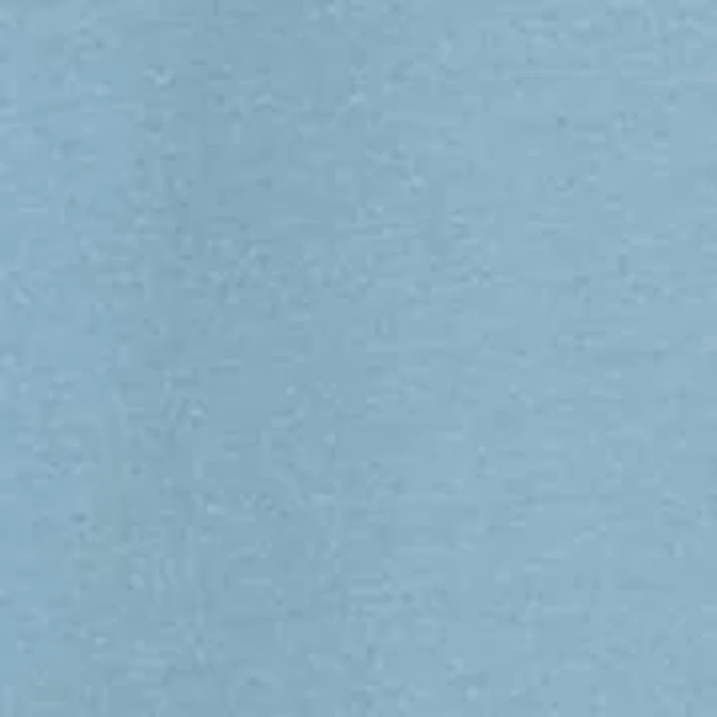 Short Sleeve Skull and Poles Shirt