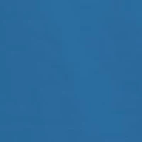 Men’s Skull and Pole Long Sleeve Tee