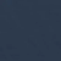 Amerishield Graphic T-Shirt