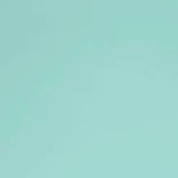 Long Sleeve Amerishield Graphic T-Shirt