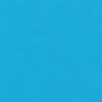 Chasing Lobster Tail Short Sleeve Pocket Graphic T-Shirt